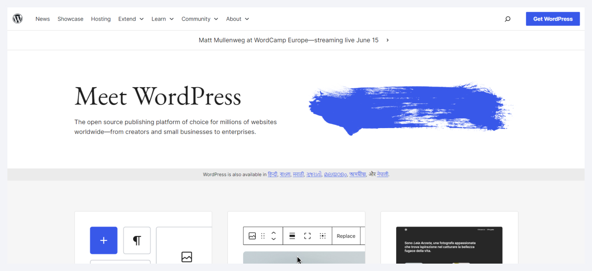 wordpress website